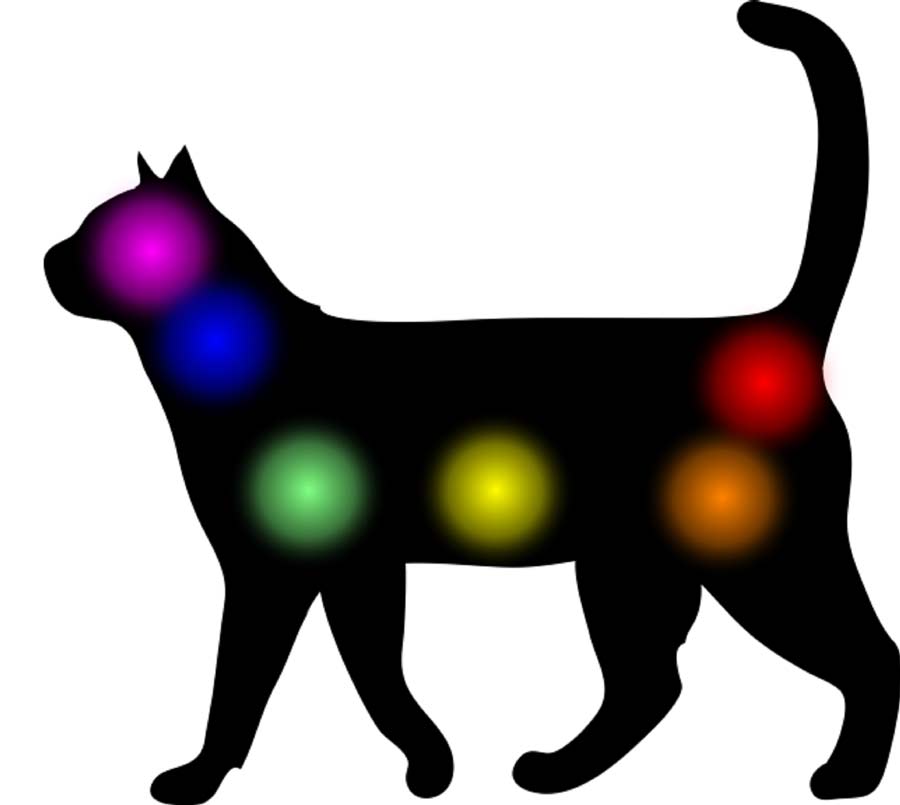 Communication intuitive avec un chat