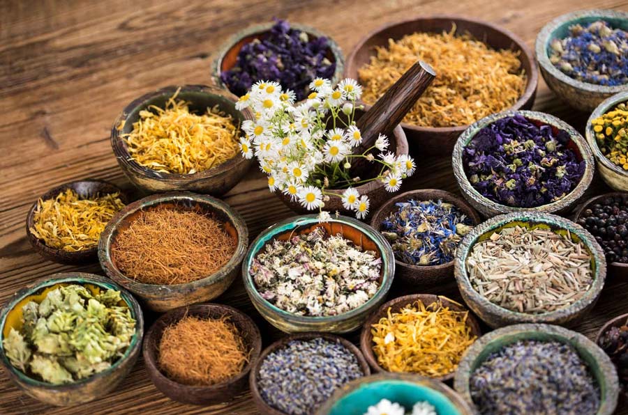 Plantes médicinales et herbalisterie